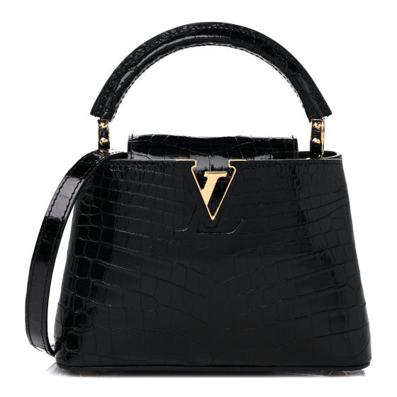 Louis Vuitton Capucines Bag