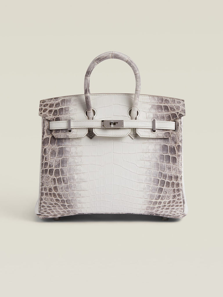 Hermes Birkin Matte crocodile Himalaya Silver Hardware